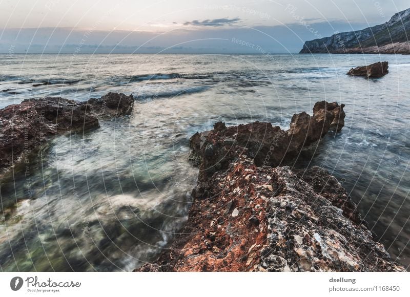 Rugged rocky coast in the evening light Freedom Calm Shadow Copy Space top Beautiful weather Sunlight Idyll Exterior shot Earth Summer vacation Nature Landscape