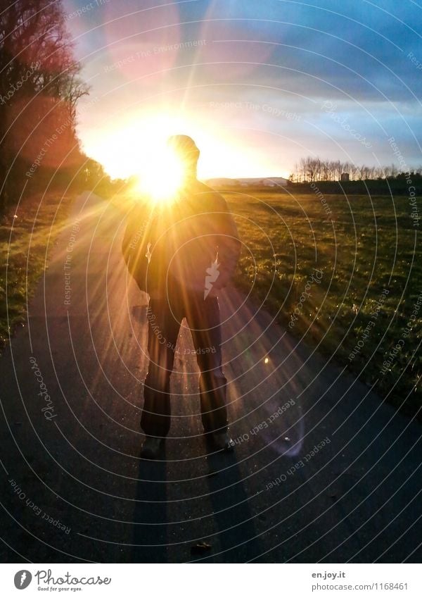 northern lights Sun Masculine Man Adults 1 Human being Environment Landscape Sky Clouds Horizon Sunrise Sunset Sunlight Weather Meadow Lanes & trails Illuminate