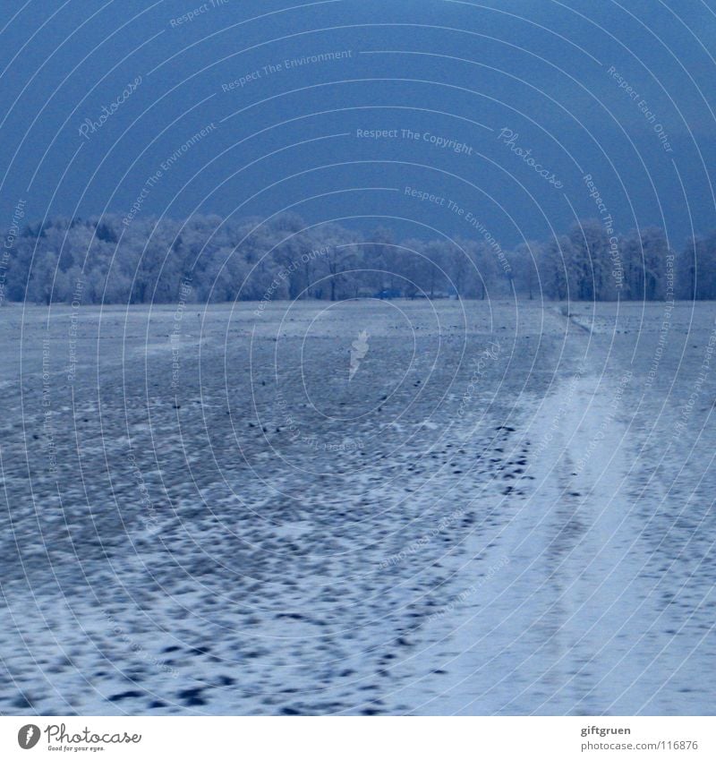 shortly before innsbruck Winter Snowscape Cold Tree Forest Field Freeze Frozen Innsbruck Austria Federal State of Tyrol Railroad Train travel Gloomy Dark