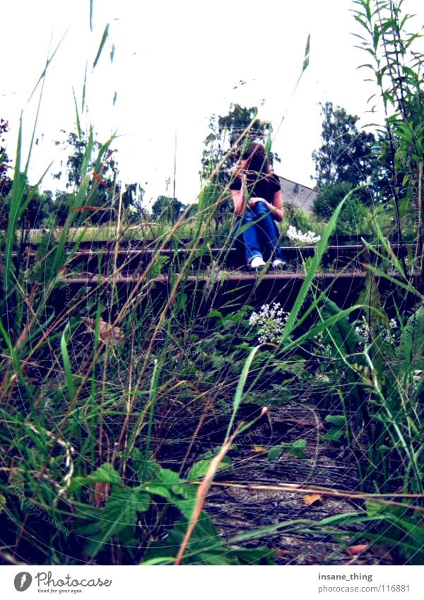 enjoy the silence. Railroad tracks Loneliness Calm Grass Green Gloomy To enjoy Boredom Sit Wait Exterior shot