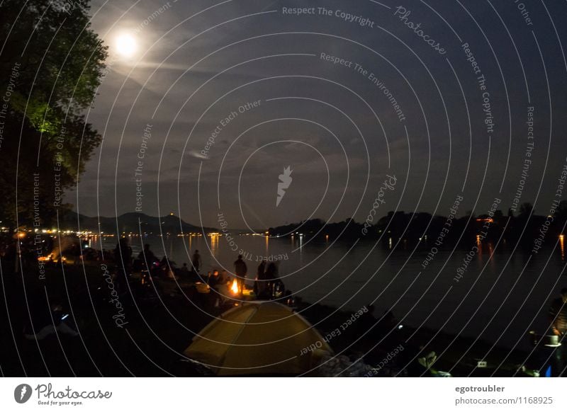 moonlight Fairs & Carnivals Landscape Water Night sky Moon Full  moon Spring Mountain siebengebirge River bank Rhine Bonn Germany Populated Relaxation