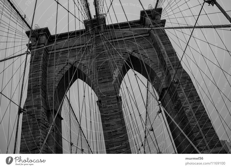 brooklyn bridge Town Capital city Bridge Manmade structures Architecture Uniqueness Black Success Power Trust Black & white photo Exterior shot Detail Day