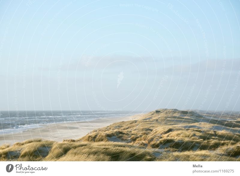 endlessly Environment Nature Landscape Sand Water Sky Grass Waves Coast Beach North Sea Ocean Dune Beach dune Marram grass Free Infinity Maritime Natural Above