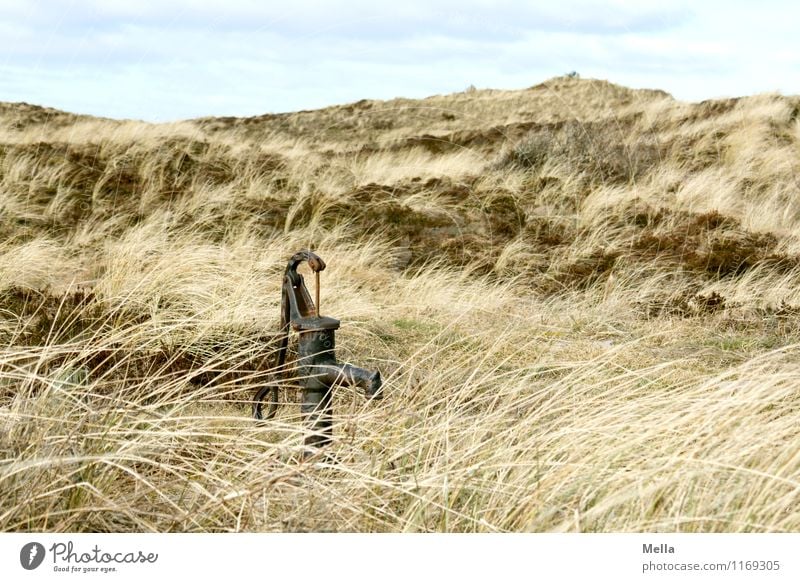 Water Environment Nature Landscape Grass Marram grass Hill Dune Steppe Water pump Well Old Simple Dry Survive Transience Drought Old times Colour photo