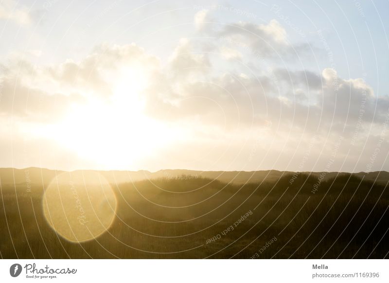 insight Environment Nature Landscape Earth Sky Sun Sunrise Sunset Sunlight Weather Hill Dune Marram grass Illuminate Bright Natural Moody Optimism Hope Longing