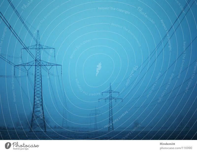 #50 brothers Electricity pylon Fog Tree Bushes Dark Field Hoar frost Winter Autumn Black High voltage power line Energy crisis Heavy Character Industry Bright