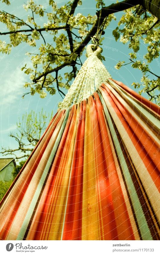 hammock Hammock Vacation & Travel Relaxation Leisure and hobbies Calm Break Restful Lie Hang Cloth Textiles Worm's-eye view Spring Summer Garden Garden plot