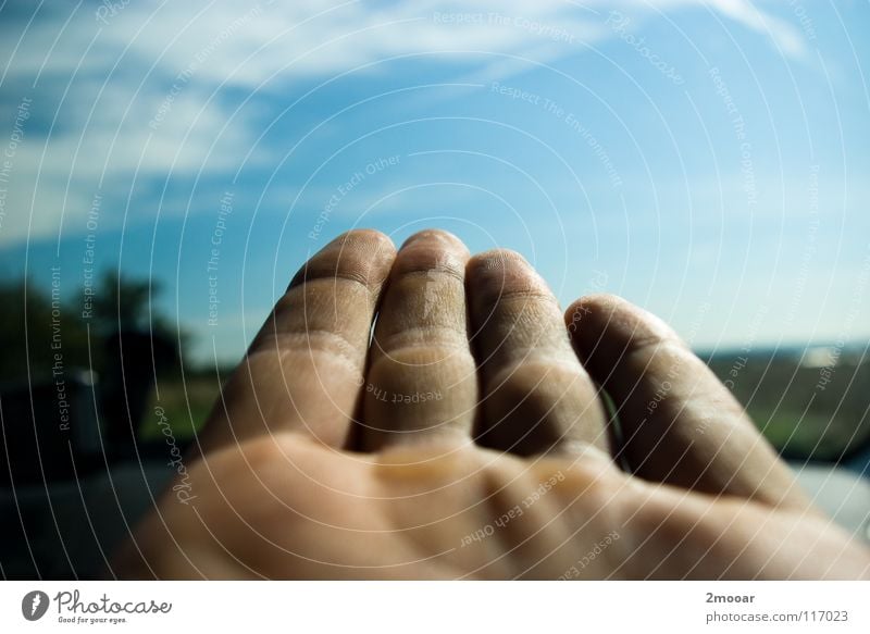 finger mail Hand Fingers Summer Tree Clouds White Sky Success left hand Limbs Blue Clarity Nature Road marking Freedom clear trees