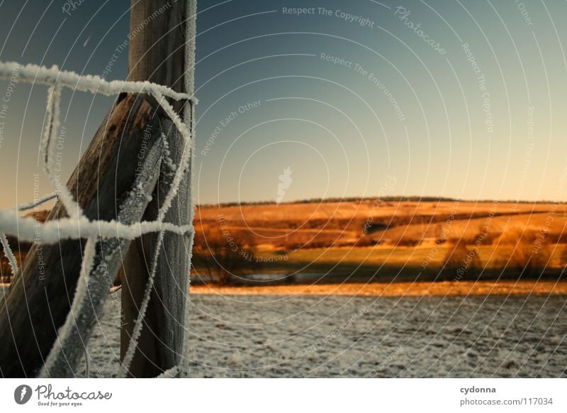 Tierra del Fuego Winter Cold Loneliness Calm Meadow Physics Red Frozen Moody Fence Wood Construction White Longing Field Phenomenon Light Life snowed over