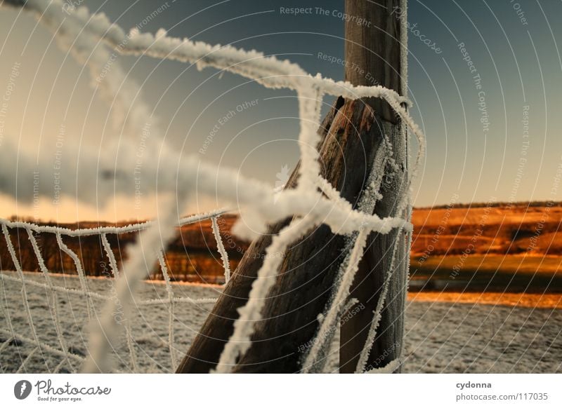 FIRE COUNTRY I Winter Cold Loneliness Calm Meadow Physics Red Frozen Moody Fence Wood Construction White Longing Field Phenomenon Light Life snowed over