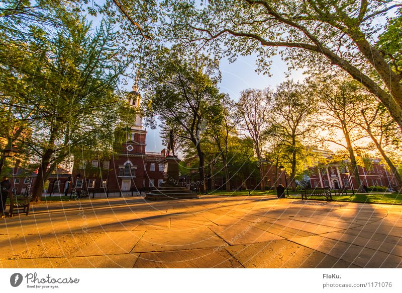 the cradle of the USA Vacation & Travel Tourism City trip Environment Nature Sunrise Sunset Plant Tree Leaf Philadelphia Town Downtown Old town Deserted Park