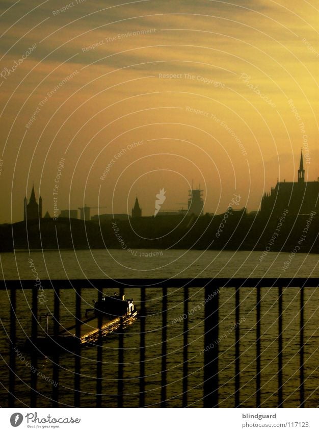 Boat on the river Cologne Watercraft Town Inland navigation Sky Sunset Navigation Yellow Bridge railing Barrier River Brook Rhine Skyline boat cargo ship