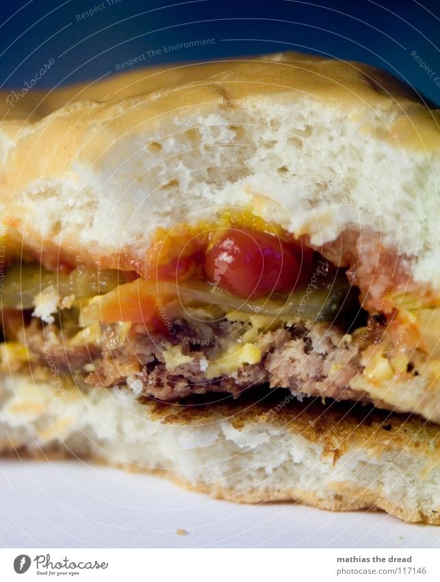 Today's burger boys! 5 Cheese Meat Cattle Cow Gherkin Bread Cardboard Roll Wheat Flour Ketchup Dry Cold Derelict Tasteless Sense of taste Roasted Fast food