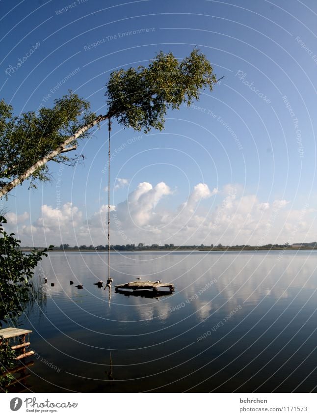 childhood memory Vacation & Travel Adventure Freedom Summer vacation Nature Landscape Water Sky Clouds Spring Beautiful weather Tree Leaf Waves Coast Lakeside