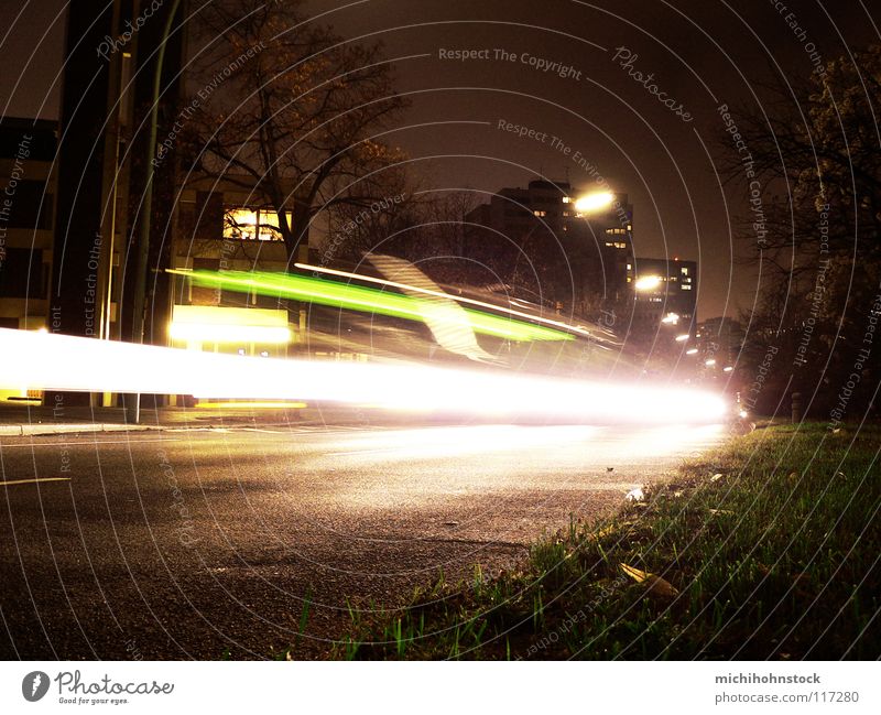 BVG oils oils Long exposure Light Stripe Grass Dark Night Driving Motor vehicle Transport Open Means of transport Visual spectacle Strip of light Lamp