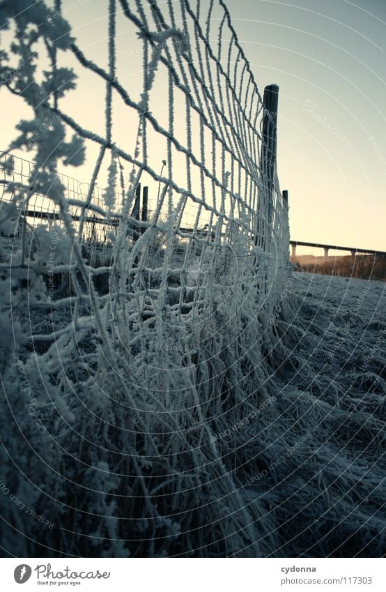 chill Winter Cold Loneliness Calm Meadow Frozen Moody Fence Grating Construction White Longing Field Phenomenon Light Depth of field Barrier Life snowed over