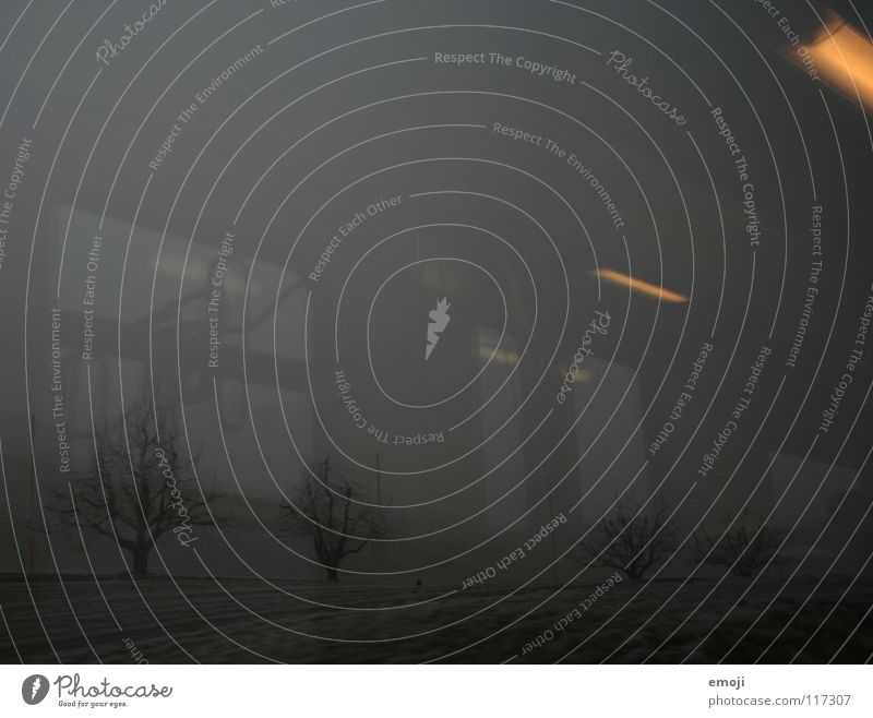 nightfall Railroad Driving Winter Gloomy Badlands Snow Fog Train travel Light Reflection Lighting Cold Tree Field Rural Switzerland Gray Express train