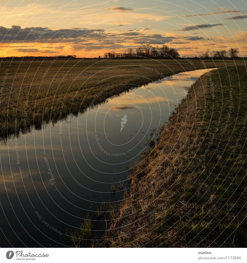 water pipe Environment Landscape Plant Sky Clouds Horizon Sunrise Sunset Spring Weather Beautiful weather Tree Grass Meadow Coast River bank Brown Gray Green