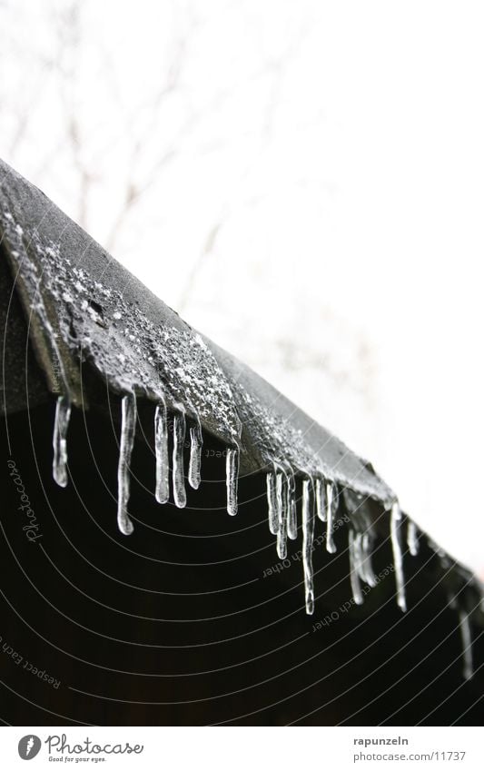 Father Frost sends his regards #1 Roof Gutter Derelict Wet Cold Winter Icicle Ice Drops of water