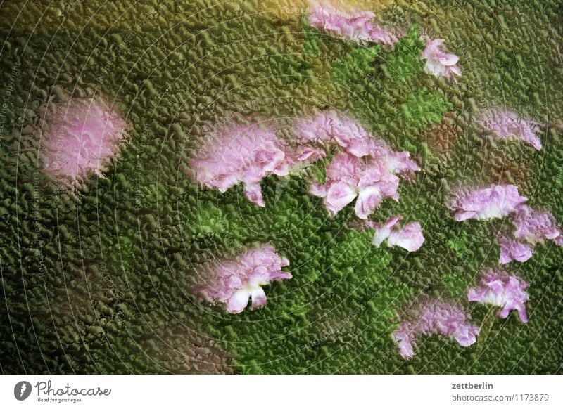 flowers Flower Bouquet Blossom Blossom leave Vase Shallow depth of field Blur Glass Window pane Pane Shop window Structures and shapes Pattern Plant Unclear