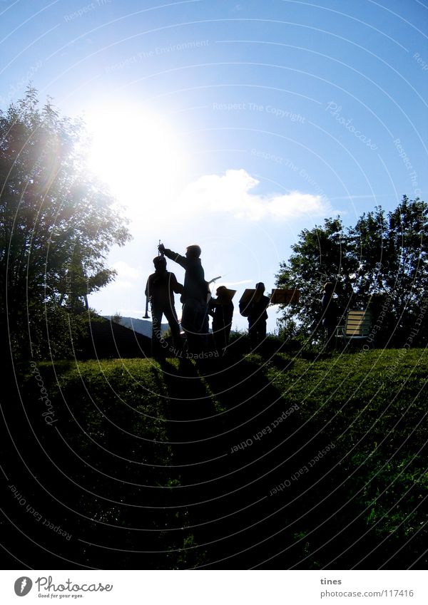 Trumpet Lights Friendship Morning Tree Summer Sun Music Shadow Lamp Human being Contrast Sky