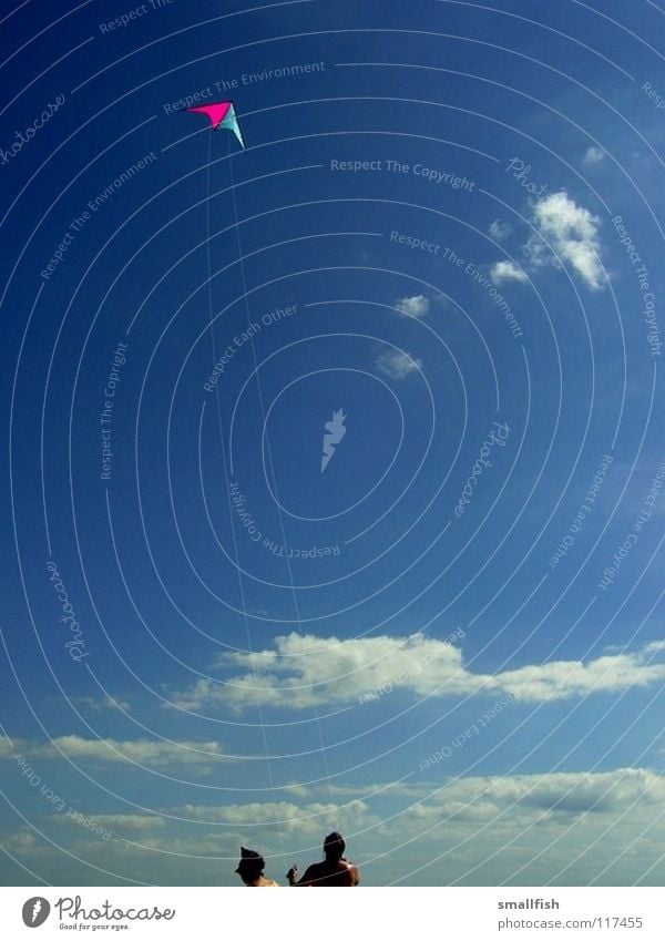 kites Clouds Beach Aviation Sky Dragon Human being Blue Wind Denmark