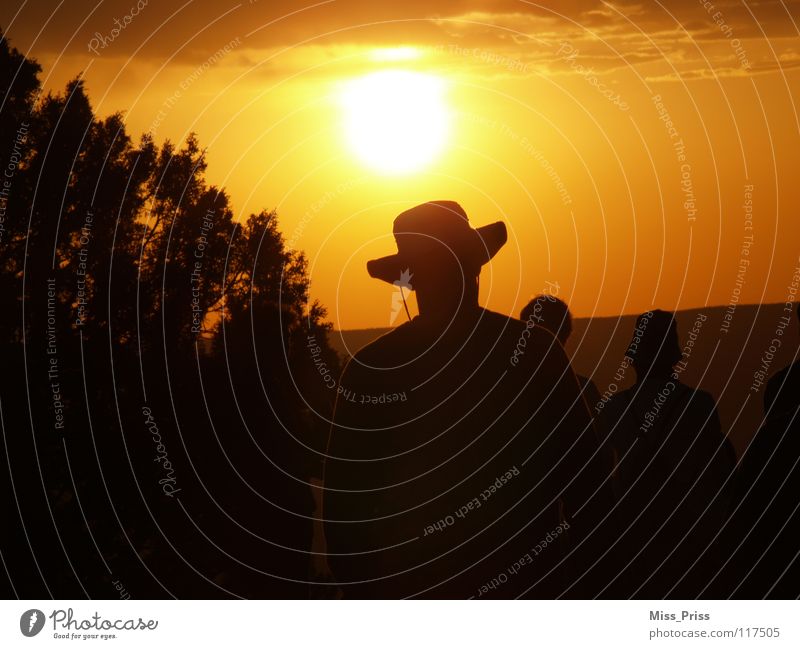 towards the sun Sunset Sunrise Cowboy Grand Canyon Romance Americas USA Shadow Vest Calm Evening Sky Human being