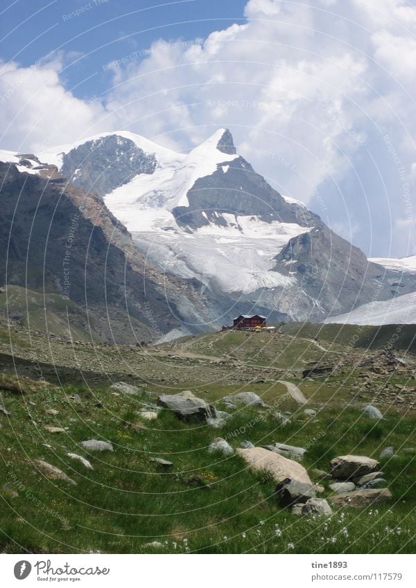 Swiss Alps Large Might Steep Snow Switzerland Europe Hiking Leisure and hobbies Beautiful Gravel Clouds Grass Green Juicy Rich Exterior shot Panorama (View)