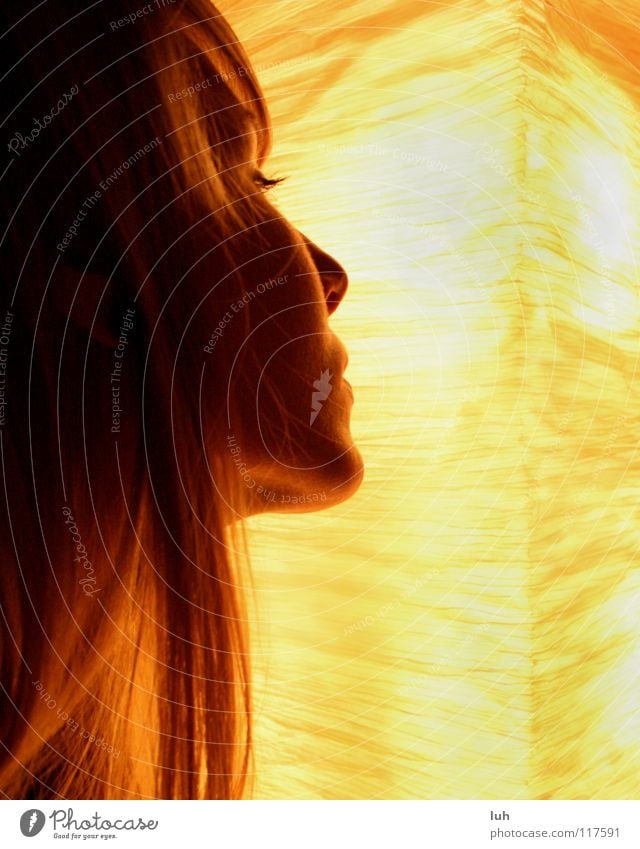 A ray of hope. Lamp Light Tasty Beautiful Looking Eyelash Silhouette Emotions Dreamily Youth (Young adults) into Style watch Esthetic Face pretty great nice