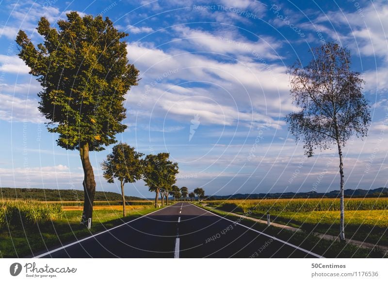 Country road in Styria Vacation & Travel Trip Summer Summer vacation Nature Landscape Sky Clouds Horizon Sunrise Sunset Spring Beautiful weather Tree Flower