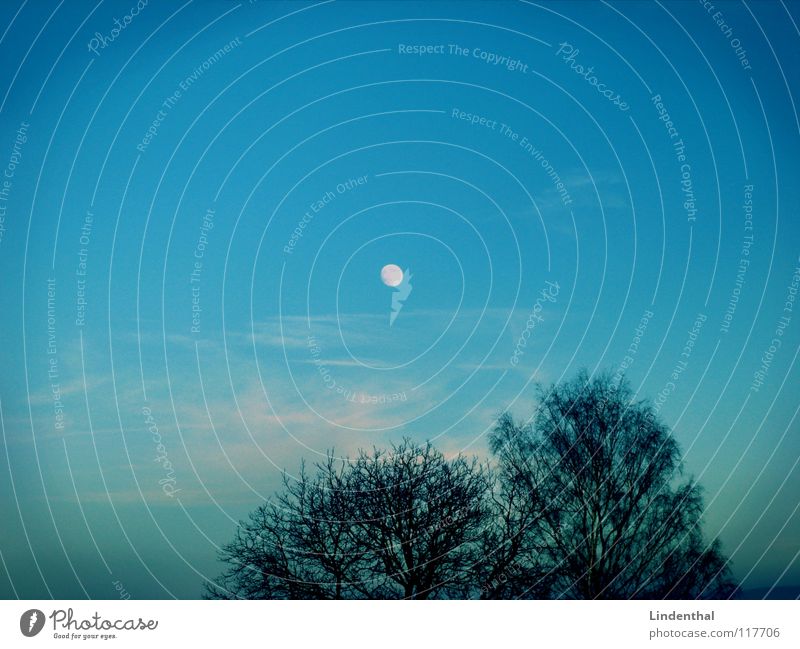 16:00 h (winter time) Twilight Go under Sunset Moonrise Lighting Tree Clouds Dusk Evening Night Celestial bodies and the universe dawn Stairs Sky