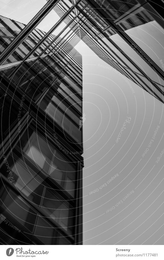 High up #4 Town High-rise Building Architecture Facade Window Glass Metal Tall Growth Black & white photo Exterior shot Deserted Day Reflection