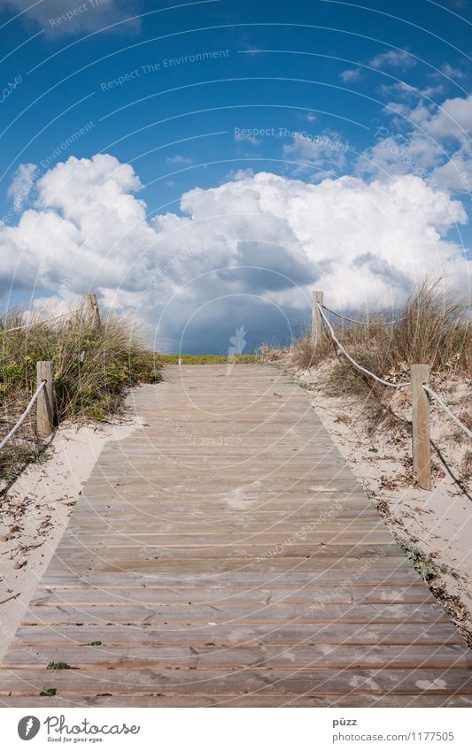 The way Vacation & Travel Tourism Far-off places Summer Summer vacation Beach Ocean Environment Nature Landscape Sand Air Sky Clouds Sun Beautiful weather