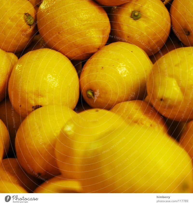 lemon case Lemon Fresh Yellow Juice Lemon juice Farmer's market Healthy Vitamin Fruit Macro (Extreme close-up) Close-up Anger Markets Nature raspberryoni