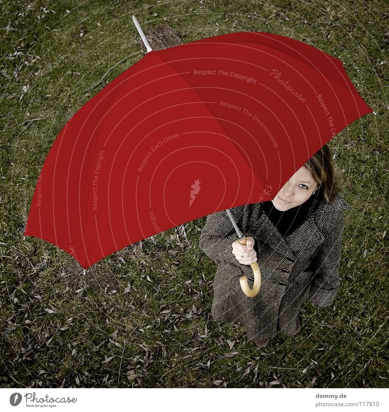 hello alice Red Green Autumn Leaf Dark Wood Woman Coat Blonde Grinning Beautiful Hand Bird's-eye view Square Joy Umbrella rain screen stolen goods Lawn steffi