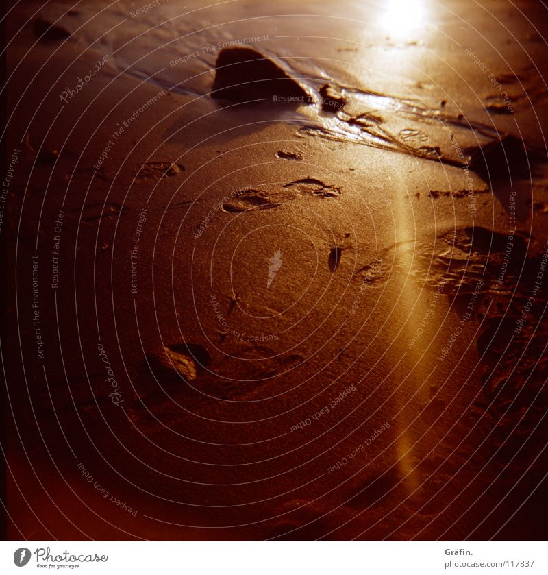 Your tracks in the sand Beach Footprint Wet Cold Waves Sunbeam Refraction Light Bright Summer Winter Calm Relaxation To go for a walk Earth Sand Coast Stone