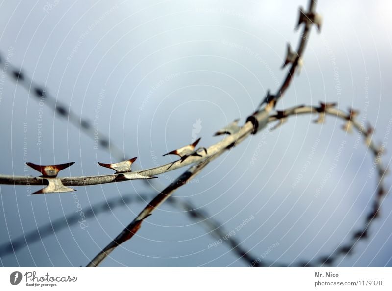 Locked # 3 | UT Cologne Cloudless sky Protection Barbed wire Dangerous Threat Testing & Control Crisis War Captured Safety Metal Thorny Gray Silver Border