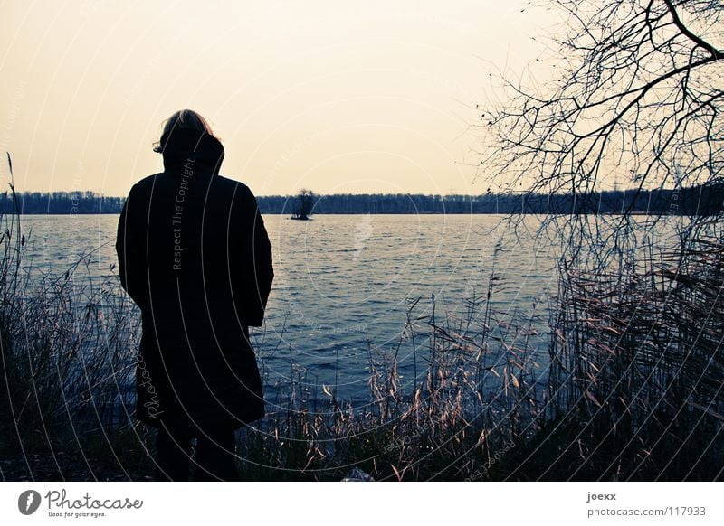 longing Loneliness Woman Freeze Think Autumn Hope Cold Coat Lake Longing Grief Vantage point Winter Distress digress Sky thoughtfulness wistfully Sadness Coast