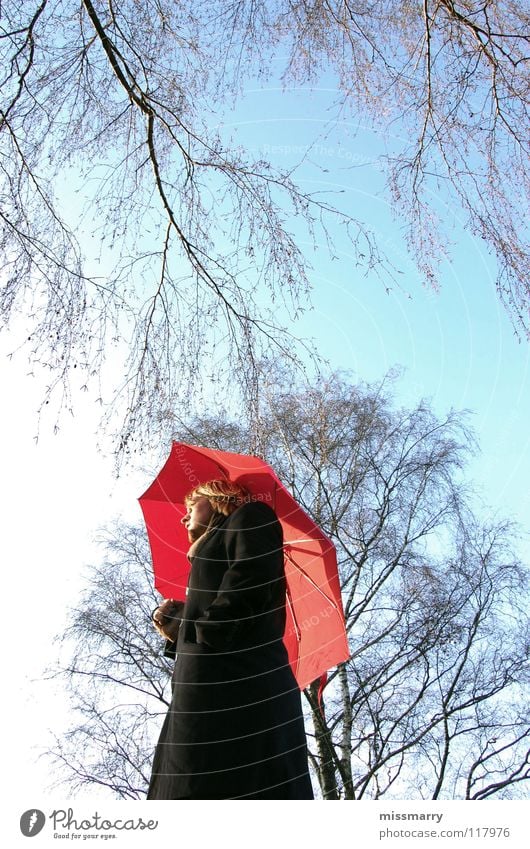 umbrella without rain Umbrella Tree To go for a walk Autumn Winter Red Sunshade Leaf Coat Man Thought Emotions Human being Sky Weather protection