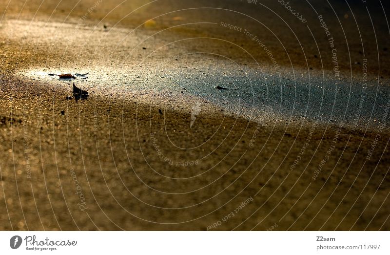 puddle Puddle Reflection Summer Wet Damp Glittering Tar Concrete Beige Brown Simple Beach Coast Sun Warmth grain Structures and shapes