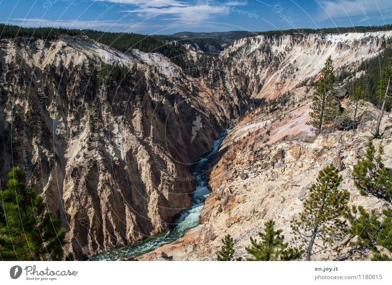 steady dripping... Vacation & Travel Tourism Adventure Summer vacation Environment Nature Landscape Sky Horizon Sunlight Beautiful weather Coniferous trees