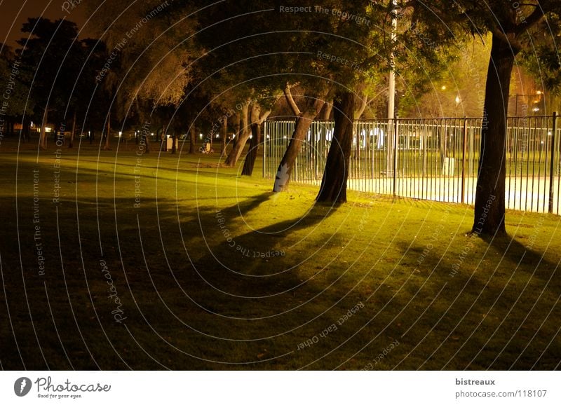 Safa Park 001 Dubai Night Tree Fence Sporting grounds Floodlight Playing grass Lawn Shadow Basketball