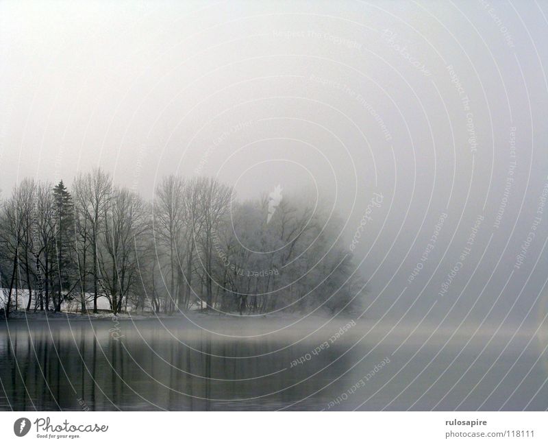 Silent Lake II Cold Tree Winter Gray Black Fog Fog bank Clouds Mystic Bad weather Grief Calm Remote Exterior shot Bavaria Lake Kochelsee Sky Water Clarity