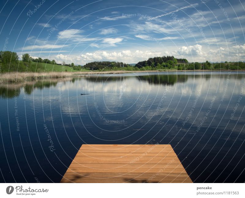 Oberschwabenschau Landscape Elements Water Sky Clouds Summer Forest Alps Lakeside Esthetic Contentment Relaxation Happy Idyll Kitsch Wellness Earth Footbridge