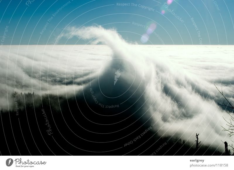 Cloud waves I Surf Waves Point Clouds Flow Enchanting Natural phenomenon Horizon Back-light Patch of light Exterior shot Enchanted wood Azure blue Sky