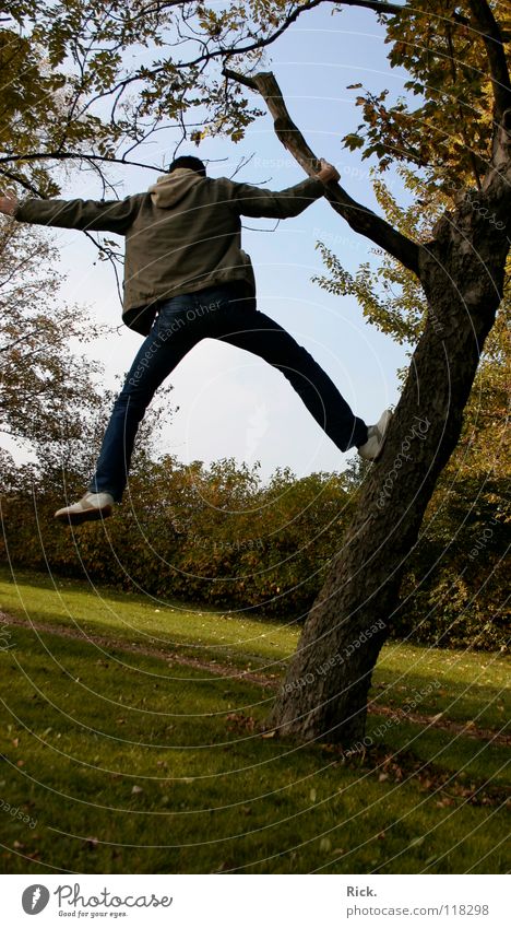 Climbing tree no. 3. Tree Jump Autumn Yellow Fellow Meadow Hold Situation Action Leaf Tree bark Moody Footwear Wood flour Sky Green Crazy Tripod Life Man Deep