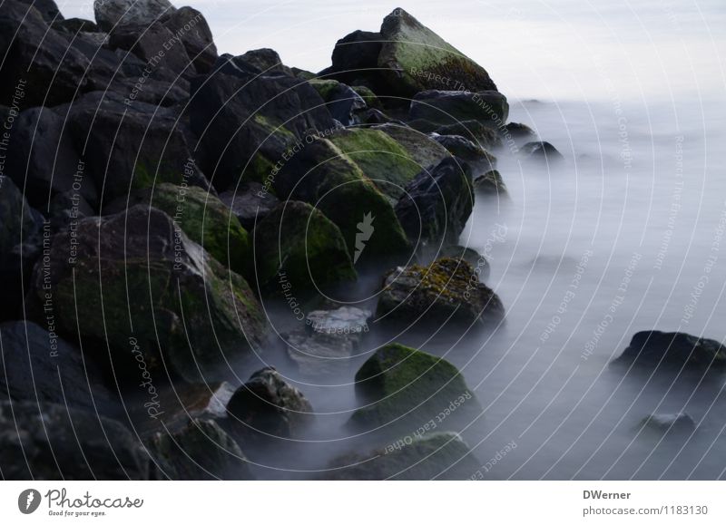 Grey filter 5 Far-off places Freedom Ocean Waves Environment Nature Landscape Water Sky Sunrise Sunset Glittering Blue Wanderlust Calm Grief Sadness Contentment