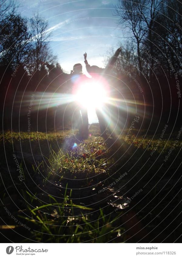 . Sunbeam Joy Happy Contentment Freedom Dance Friendship Youth (Young adults) Arm Sky Tree Grass Meadow Happiness Blue Green Blade of grass Branch reflection