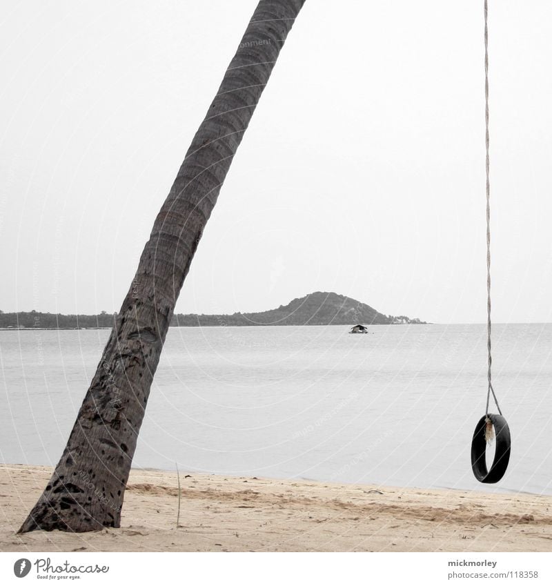 palm swing Thailand Palm tree Beach Ocean House (Residential Structure) Vacation & Travel Rubber Tree Playing Loneliness Asia Island Rope String holiday sea