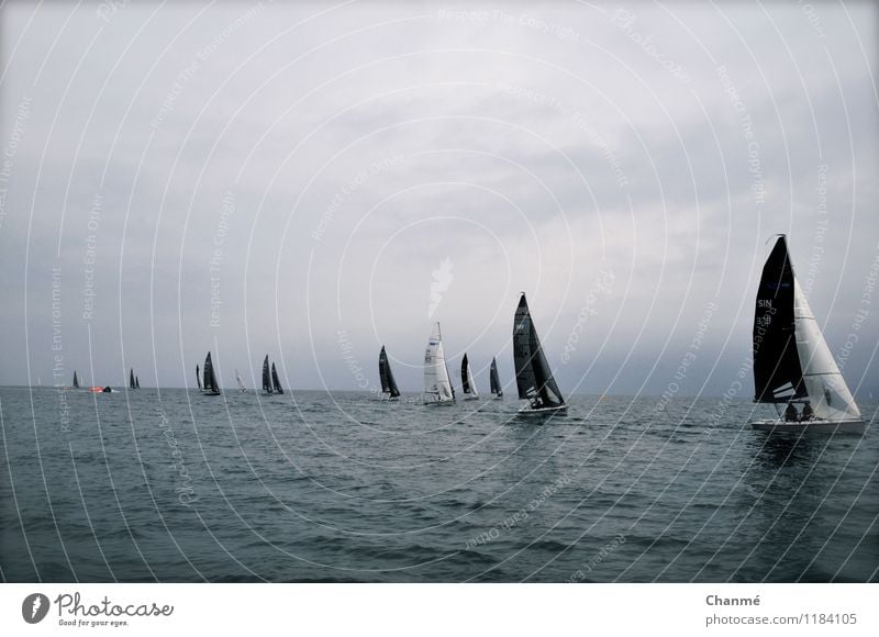 Ahead of the crowd Sailing Ocean Hyères Cote d'Azur Sailboat Speed Sports Regatta Colour photo Exterior shot